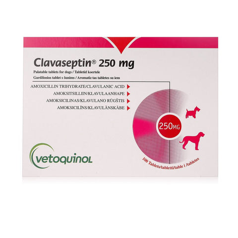 Clavaseptin 250mg Palatable Tablets