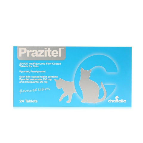 Prazitel Cat