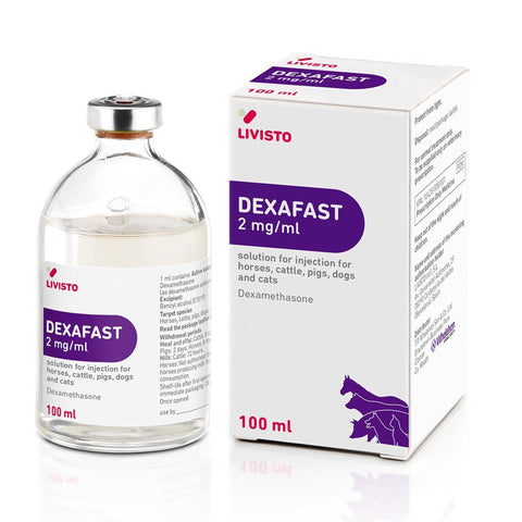 Dexafast 2 mg/ml Solution for Injection