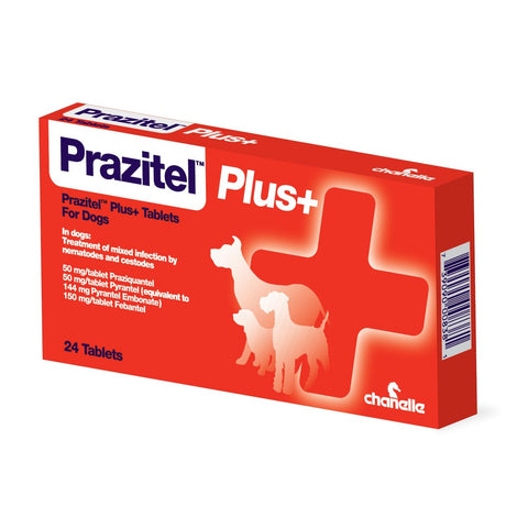Prazitel Plus Dog