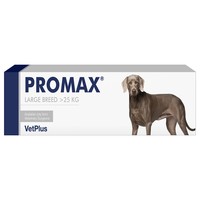 Promax Paste Syringe
