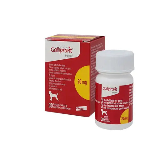 Galliprant Tablets for Dogs