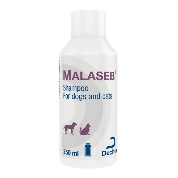 Malaseb Shampoo 250ml –