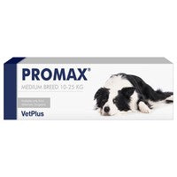 Promax Paste Syringe