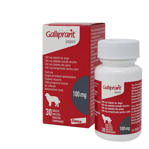 Galliprant Tablets for Dogs