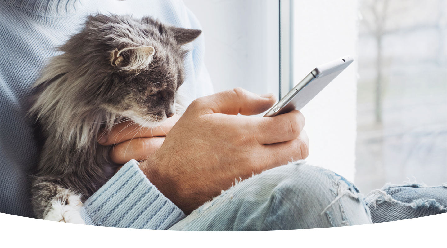 Pet Prescriptions