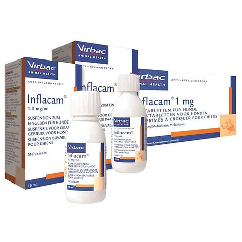Inflacam 1.5mg/ml Oral Suspension for Dogs