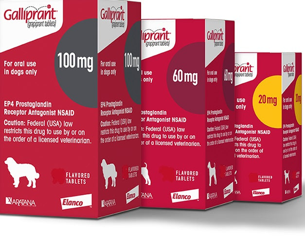 Galliprant Tablets for Dogs – - Main Image