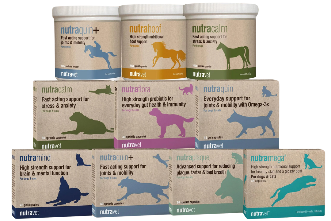Large animal vet supplies near me hot sale