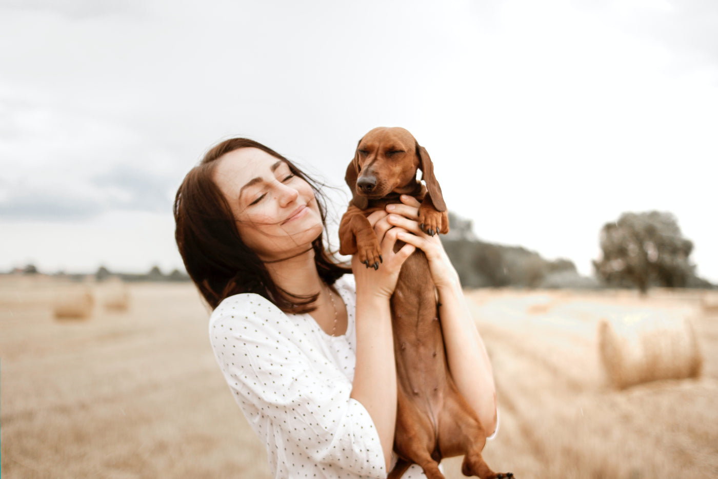 Dog Subscribe and Save