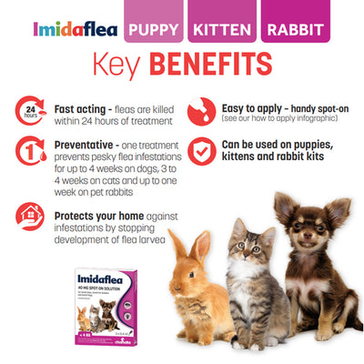 Imidaflea Spot-On Solution Flea Treatment for Dogs, Cats and Pet Rabbits