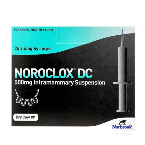 Noroclox DC 500mg Intramammary Suspension x 24