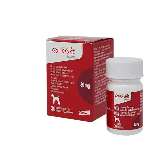 Galliprant Tablets for Dogs –