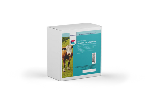 NutriCareVet Bovine Supplement for Metabolism Support Calcium Bolus