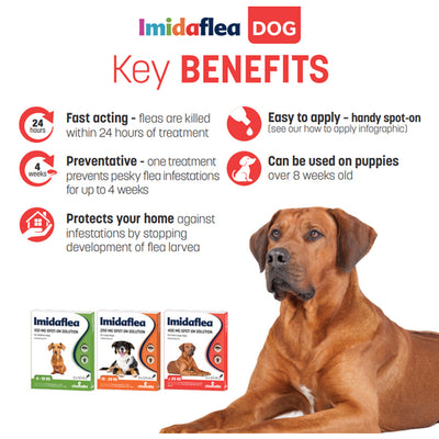 Imidaflea Spot-On Solution Flea Treatment for Dogs, Cats and Pet Rabbits