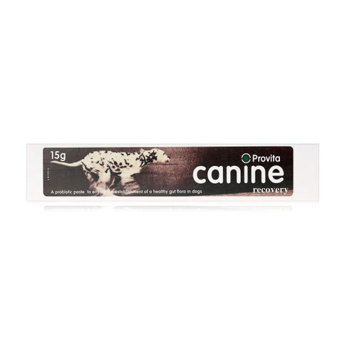 Provita Recovery - 15ml for Dogs and Puppies