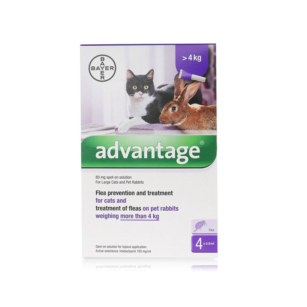 Advantage™ Spot-On Flea Treatment – VetMedi.co.uk