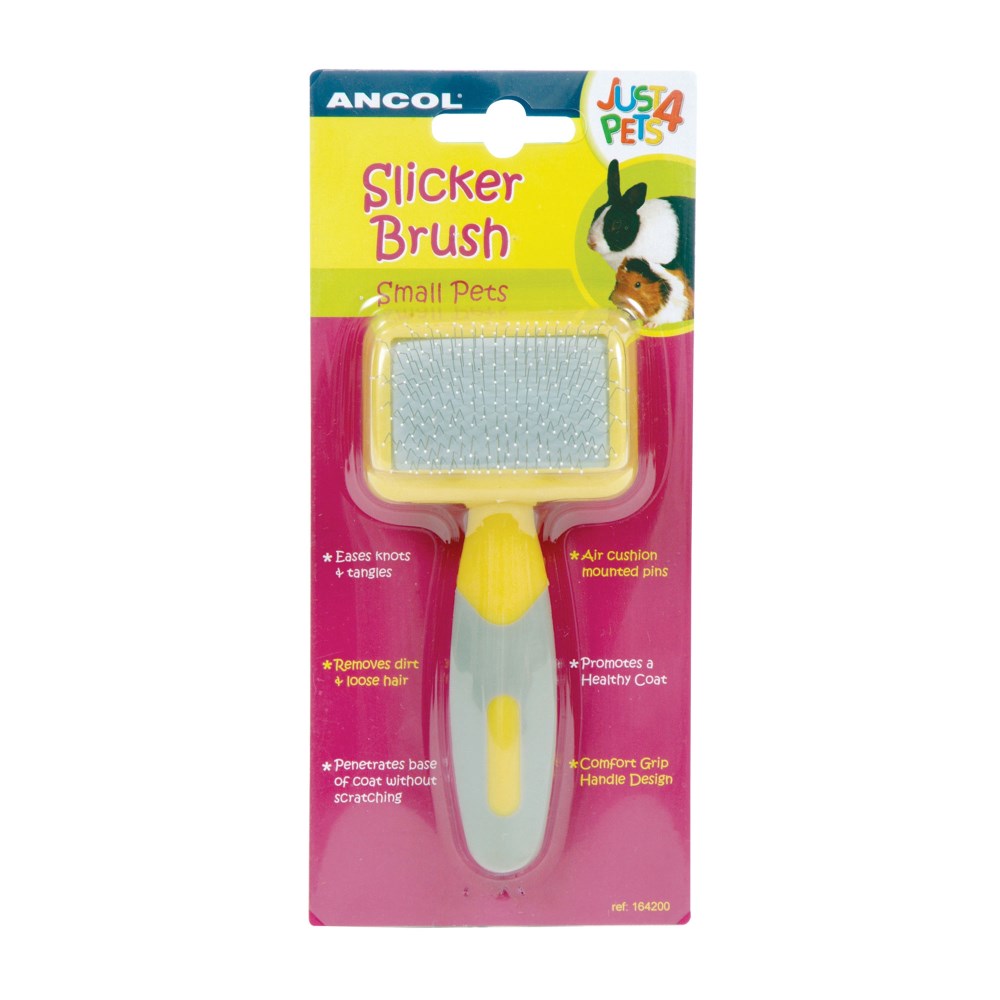Ancol Small Animal Slicker Brush - Air Cushioned Pins - For Rabbits/ G ...
