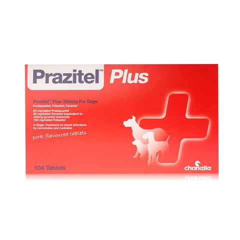 Prazitel Plus Dog