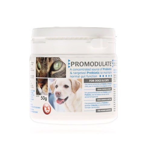 Promodulate Digestive Probiotic Supplement Powder for Cats & Dogs