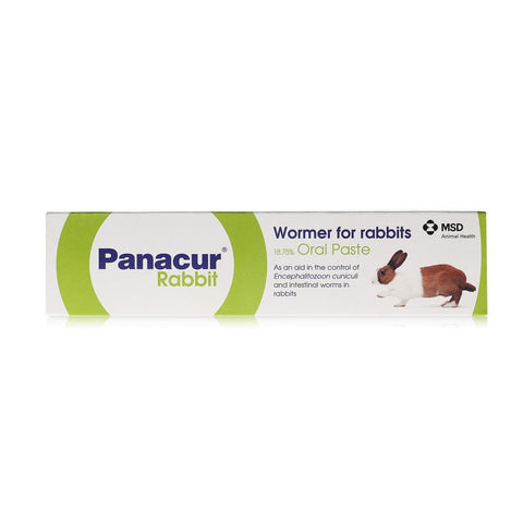 Panacur Rabbit 18.75% Oral Paste 5g Syringe x 1