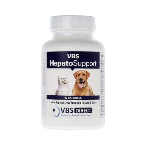 VBS Hepato Support- 90 Capsules