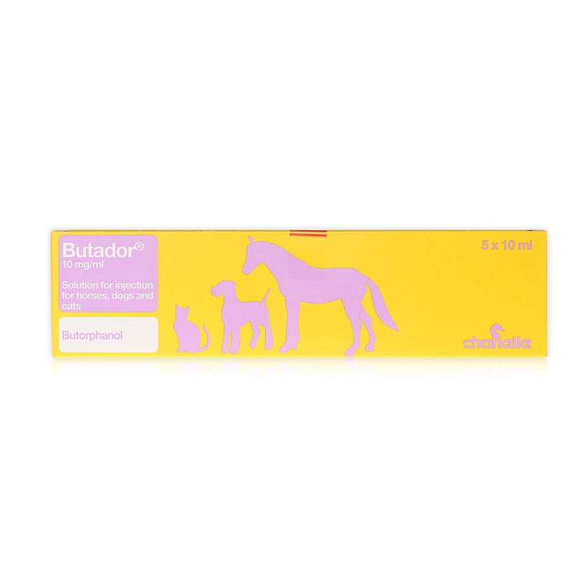 Butador 10 mg/ml Solution For Injection For Horses, Dogs & Cats ...