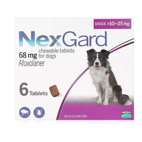 NexGard Chewable Tablets Pack of 6