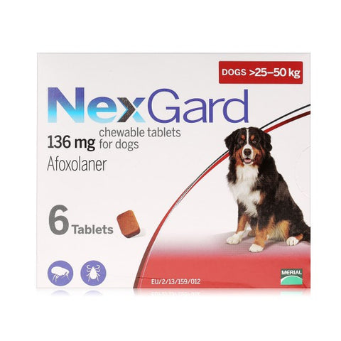 NexGard Chewable Tablets Pack of 6
