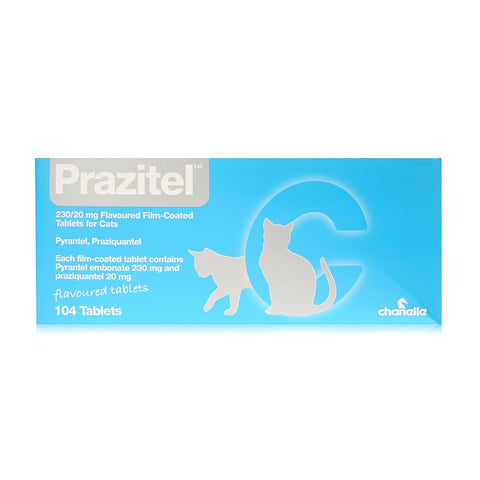 Prazitel Cat