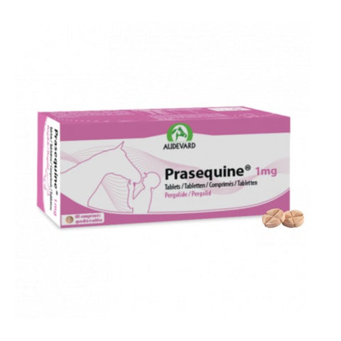 Prasequine 1mg tablets for horses