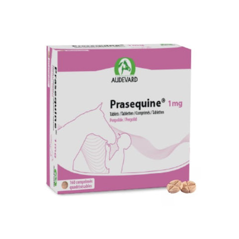 Prasequine 1mg tablets for horses