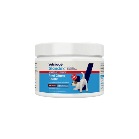 Glandex® Anal Gland Support Soft Chews for Dogs