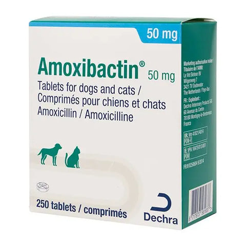 Amoxibactin Tablet For Dogs and Cats