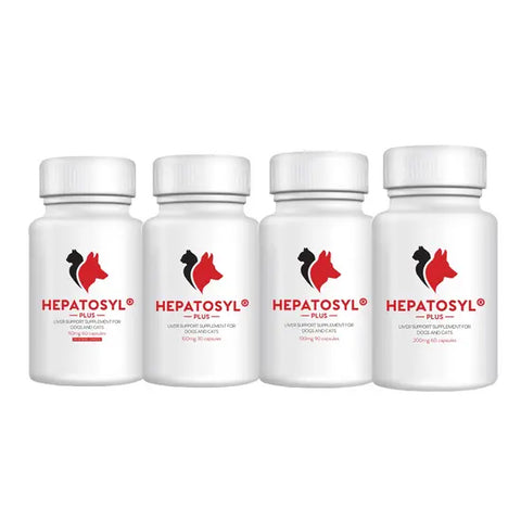 Hepatosyl Plus Capsules