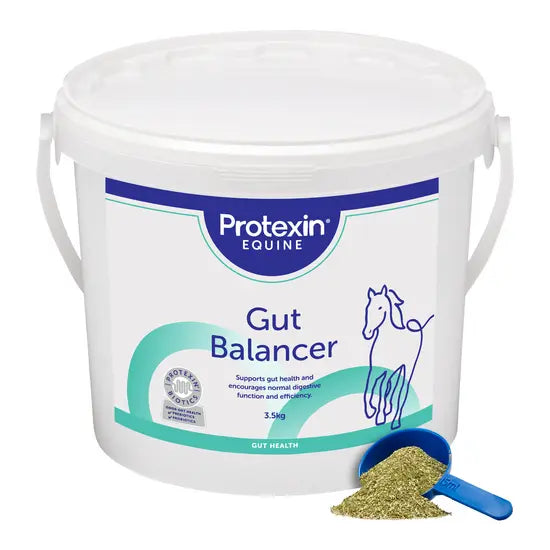 Gut Balancer