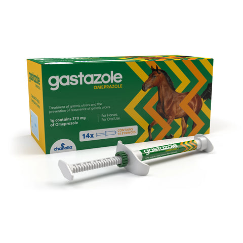 Gastazole 370 mg/g Oral Paste for Horses