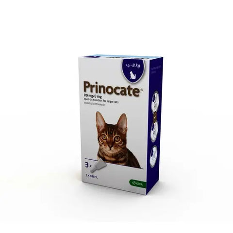 Prinocate Spot-On Flea and Worm Treatment for Large Cats (4kg-8kg) 3 pipettes