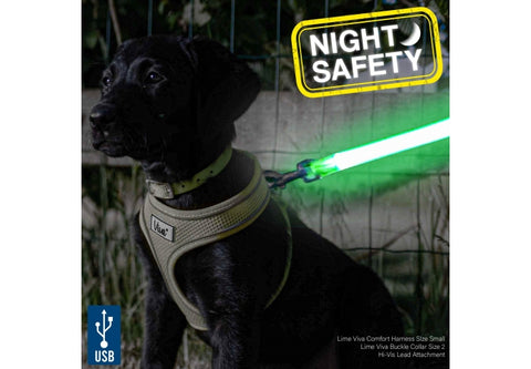 Ancol Hi-Vis Flashing Lead Attachment