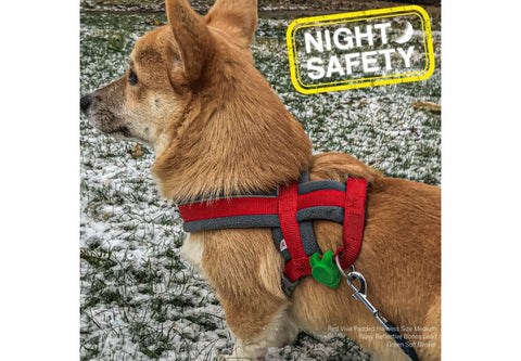 Safety Light Soft Blinker