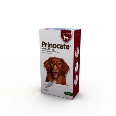 Prinocate Spot-On Flea and Worm Treatment for Large Dogs (10-25kg) 3 pipettes