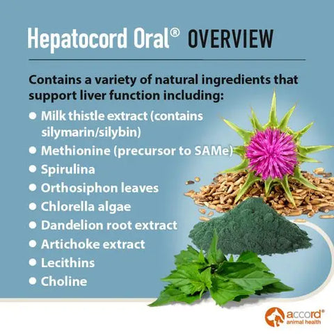 Hepatocord Oral