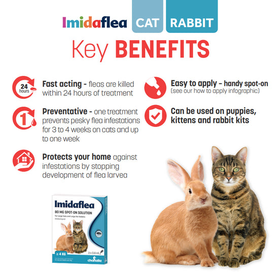 Imidaflea Spot-On Solution Flea Treatment for Dogs, Cats and Pet Rabbits