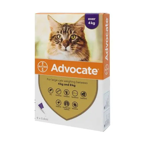 Advocate 80 Spot-On for Cats (Large Cats over 4kg)