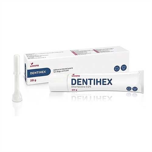 DentiHex Dental Paste Dogs Cats