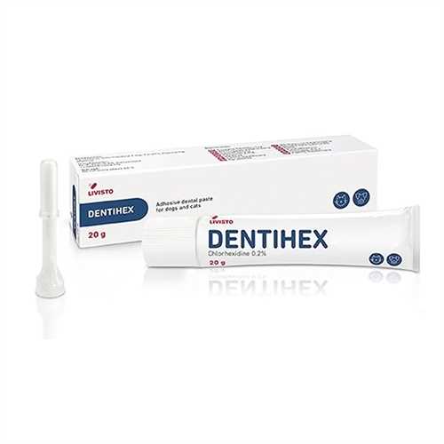 DentiHex (Dentisept) Dental paste - for dogs and cats