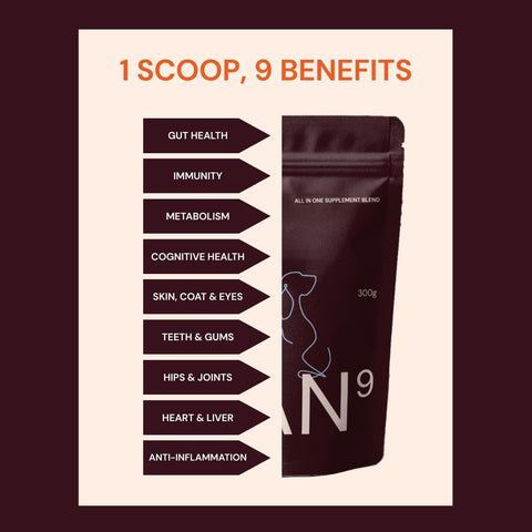 CAN9 Daily Dog Supplement