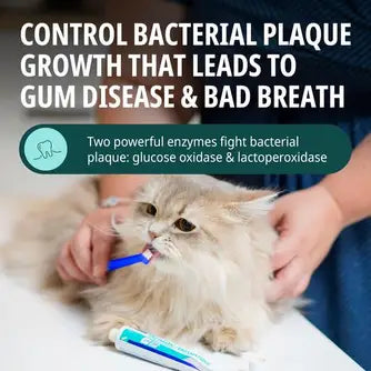 Oral Hygiene Toothpaste & Toothbrush Kit for Cats