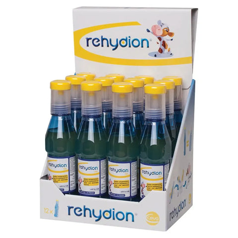 Rehydion Gel 320ml