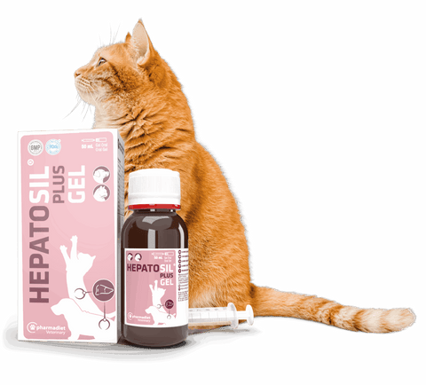 Hepatosil Plus Gel 50ml